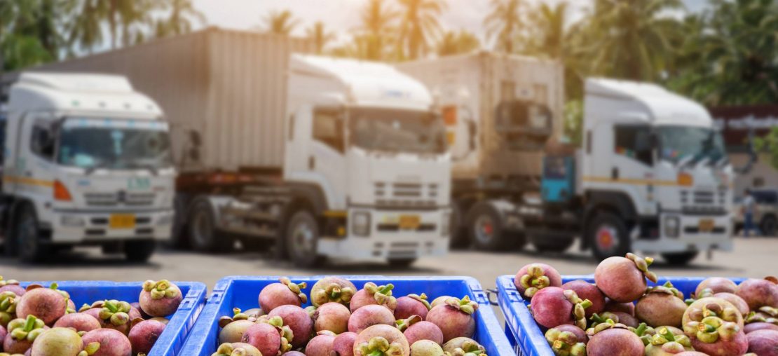 Lựa chọn phương tiện vận chuyển phù hợp (container lạnh)