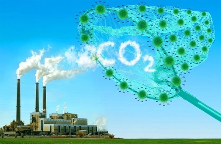 Quá trình sản xuất HDPE có thể giảm đáng kể lượng CO2 thải ra môi trường