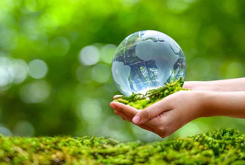 Phân loại nhựa dựa trên ký hiệu để giúp quá trình tái chế hiệu quả hơn